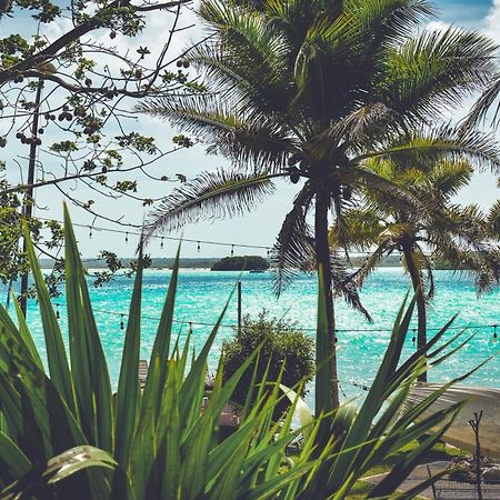 Tortuga Bacalar Bed & Breakfast Bagian luar foto