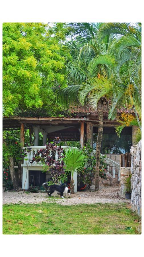 Tortuga Bacalar Bed & Breakfast Bagian luar foto