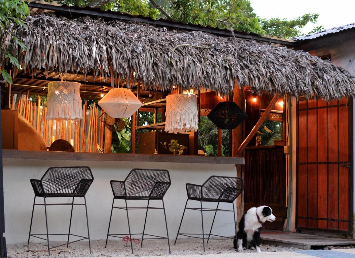 Tortuga Bacalar Bed & Breakfast Bagian luar foto