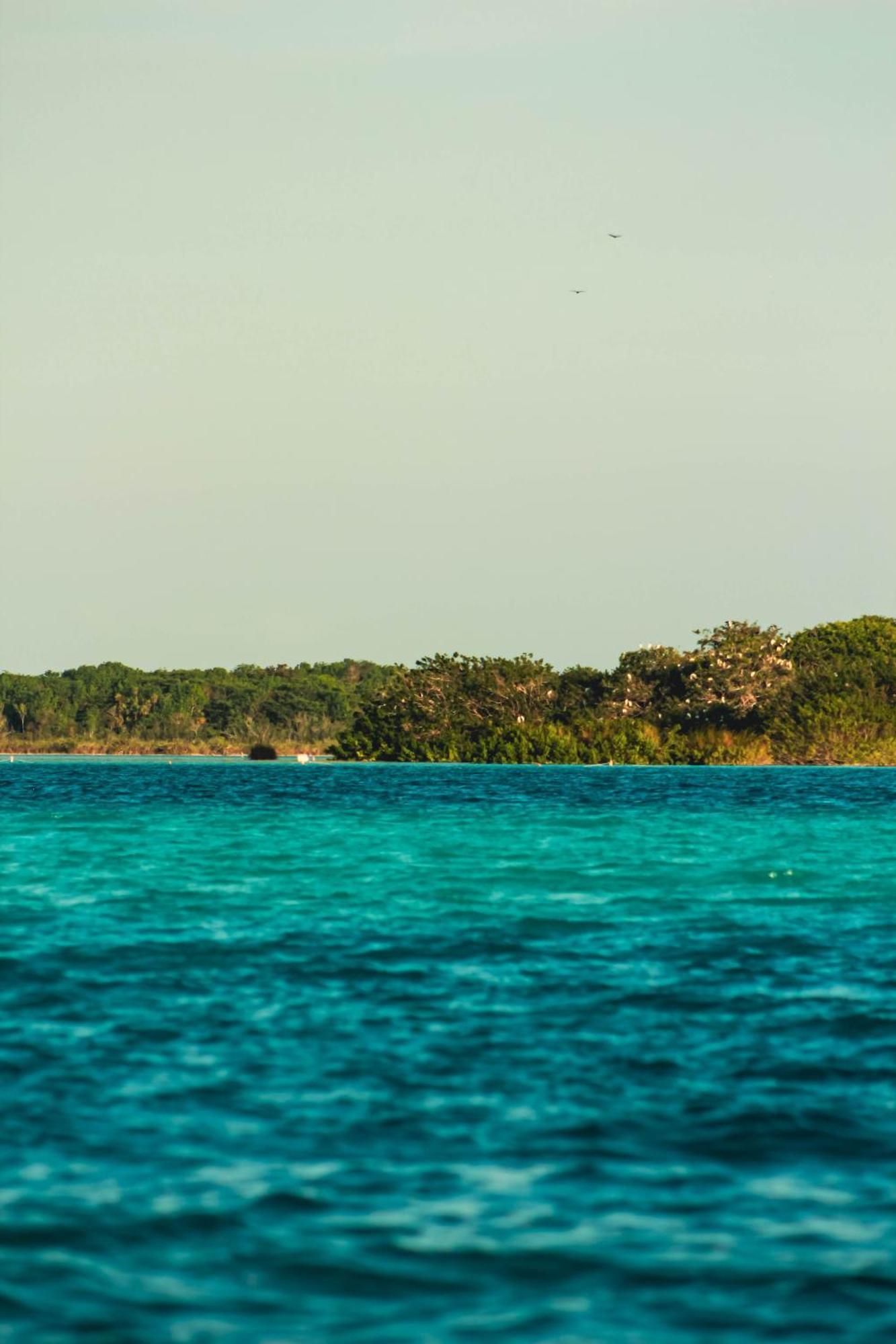 Tortuga Bacalar Bed & Breakfast Bagian luar foto