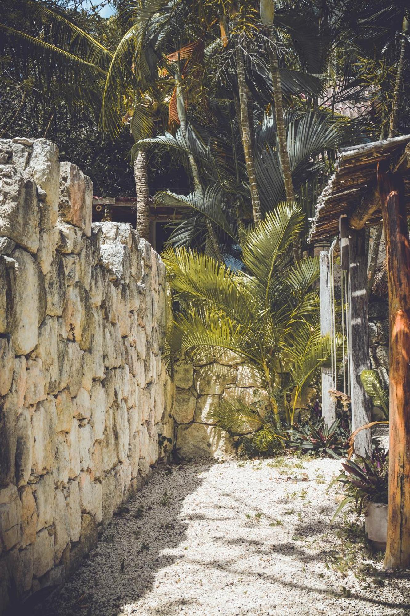 Tortuga Bacalar Bed & Breakfast Bagian luar foto