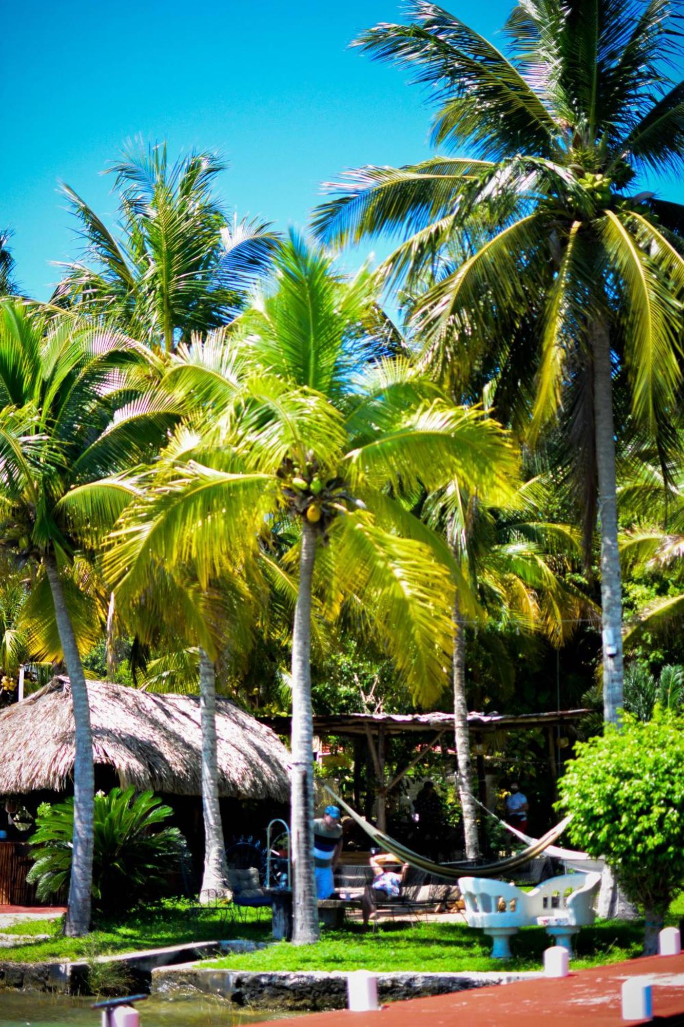Tortuga Bacalar Bed & Breakfast Bagian luar foto